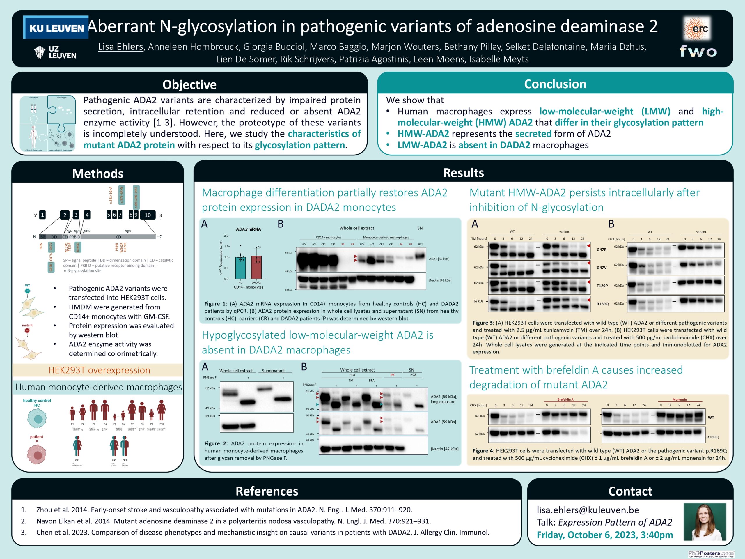 Lisa Ehlers - Aberrant N-glycosylation in pathogenic variants of adenosine deaminase 2