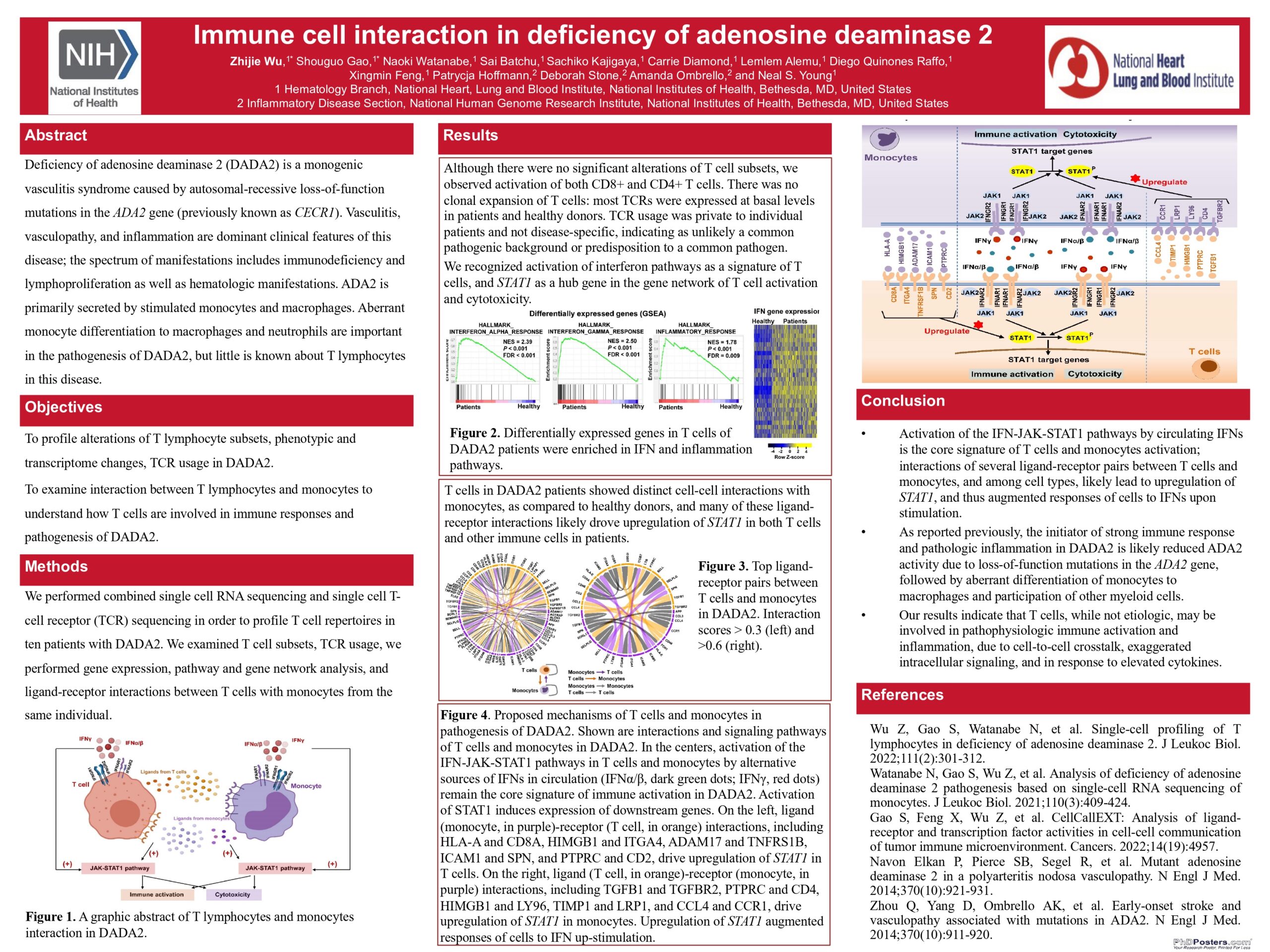 Zhijie Wu - Immune cell interaction in deficiency of adenosine deaminase 2