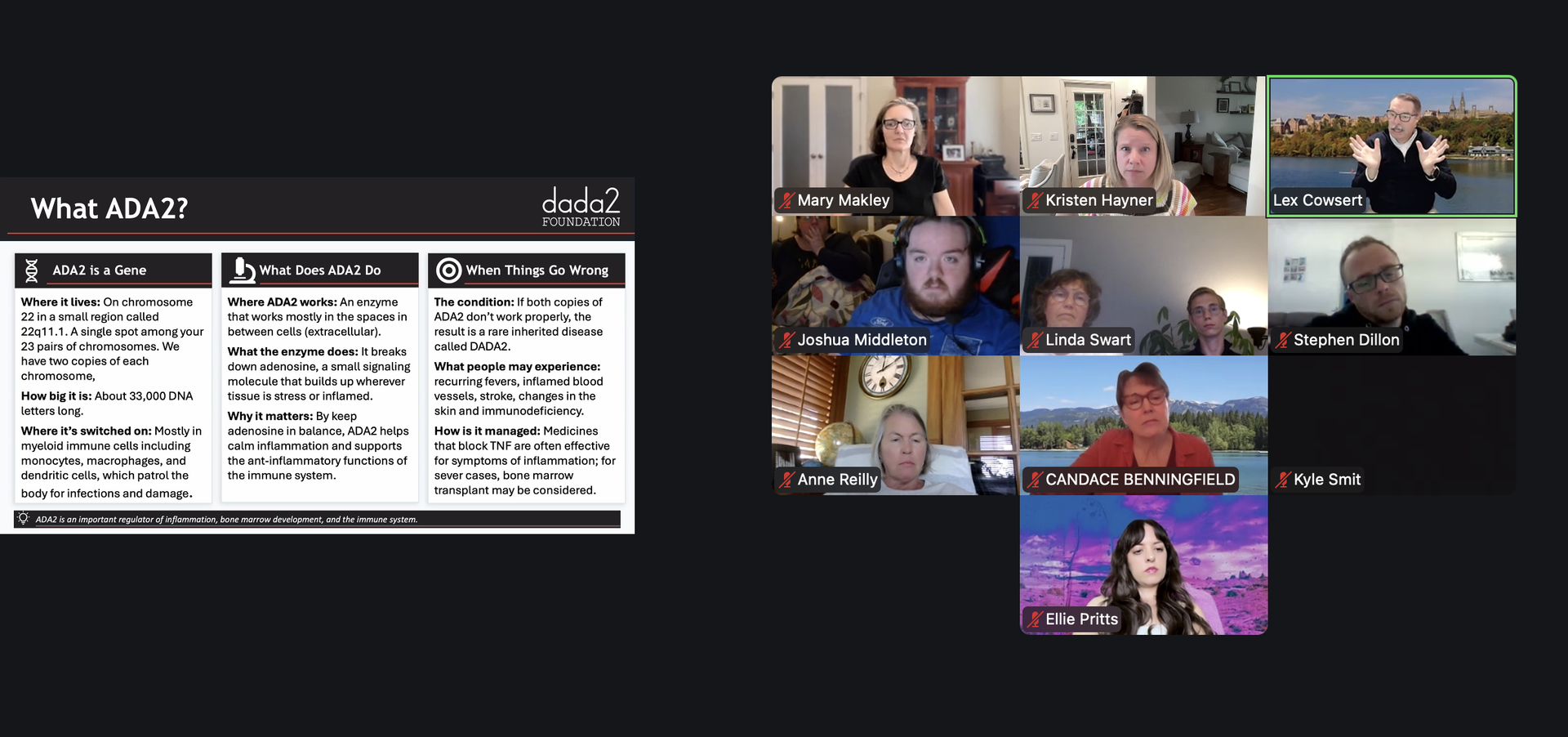 Our Latest Patient Gathering Gene Therapy Updates